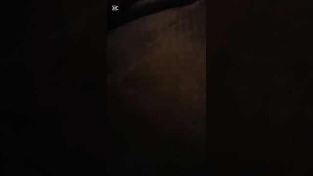 образ танцующего птица шить будем