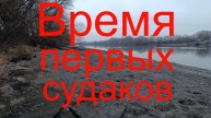 Время первых судаков. Москварека. Р-н Бронниц. 02.12.2024.