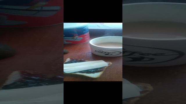 VID_20241208_081632.mp4