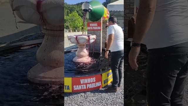 1000003861.mp4