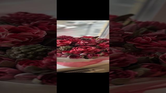 08-12-2024