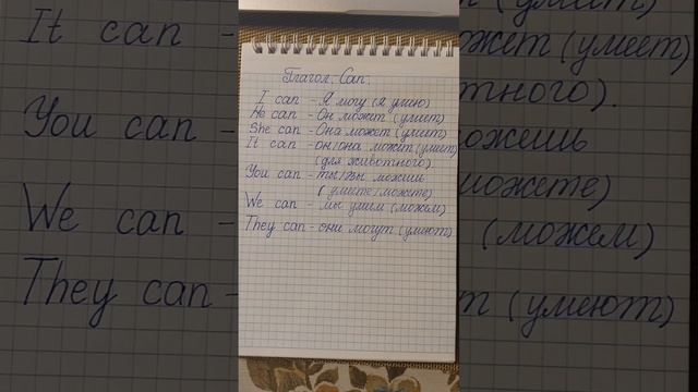 Модальный глагол 'can'.