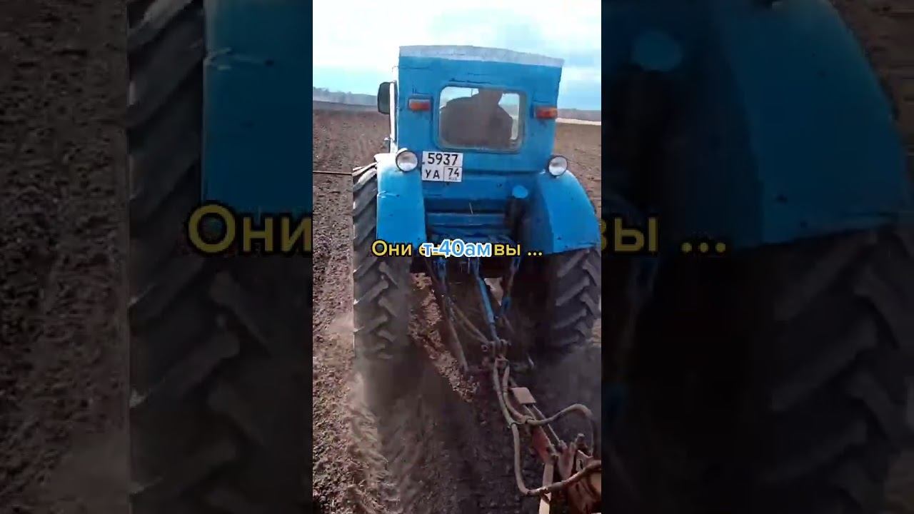 ДТ-75 ещё жив и в работе #farming #трактор #комбайн #farm #agro #механизатор #колхоз