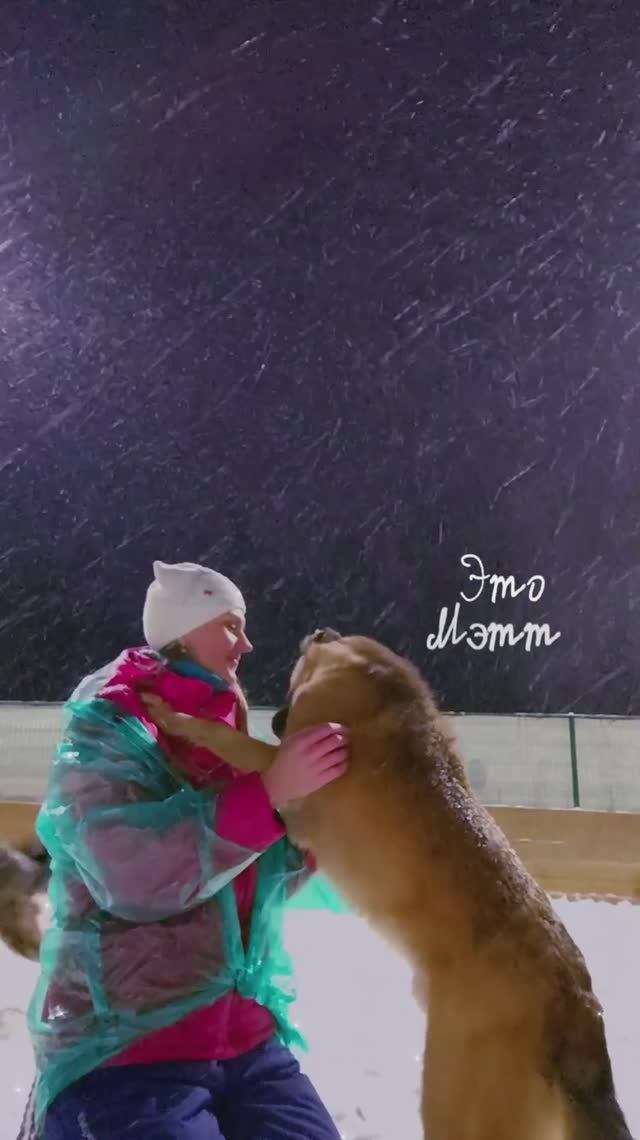 "Позови меня!" ❥ Приют в Малинках