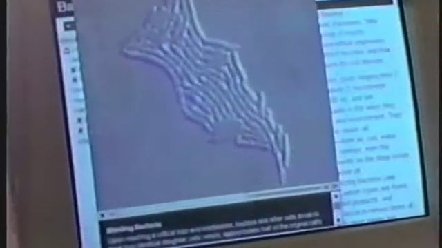Microsoft Encarta 96 - 1996 Commercial (480P)