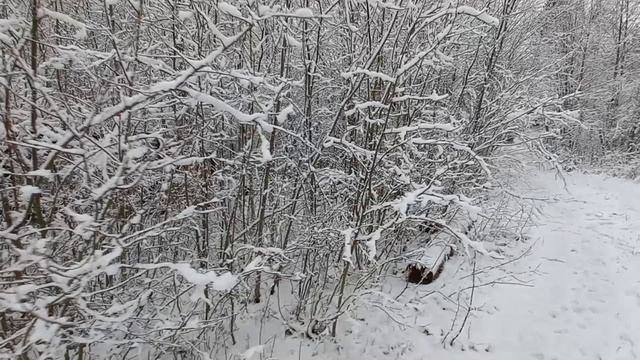 Видео п.Красное