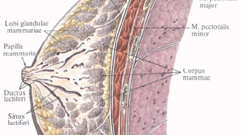 ЛУЧЕВАЯ ТЕРАПИЯ . ПРОФЕССОР КИЖАЕВ Е.В. (1)