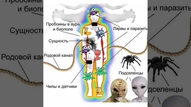 Соблюдай  целостность ауры