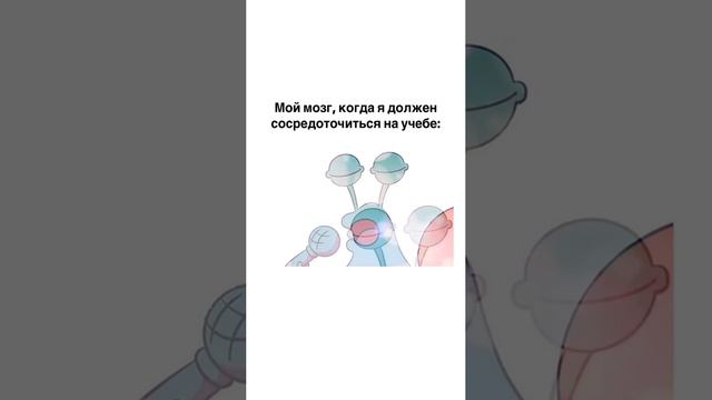 1000009333.mp4569