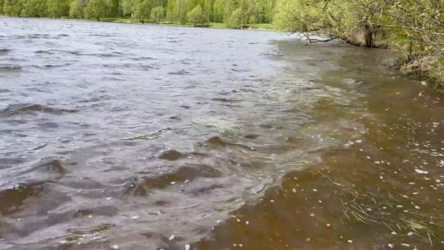 Рыбалка в Ураганный Ветер. Полосатое Тело на Шарики с крючками.