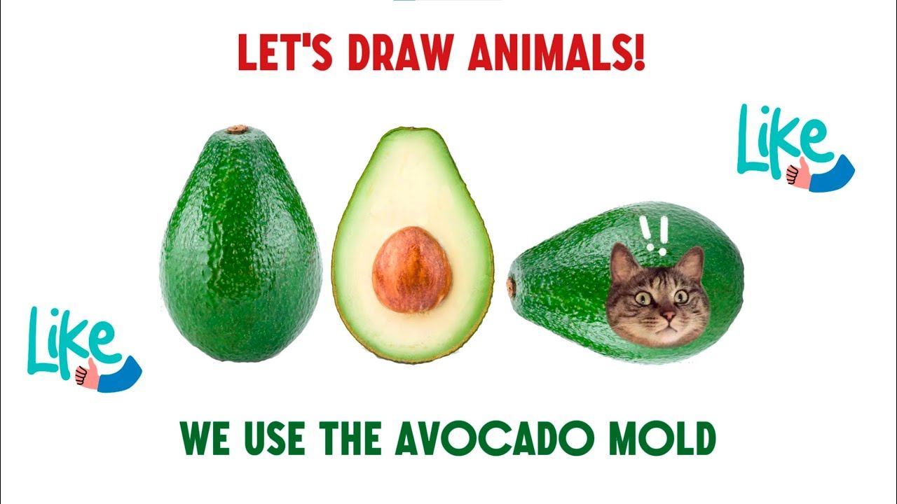 Let's draw animals using the shape of an avocado