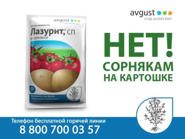 Лазурит! Нет сорнякам на картошке!