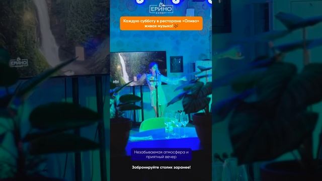 Живая музыка в ресторане "Олива"