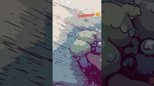 Сквиши