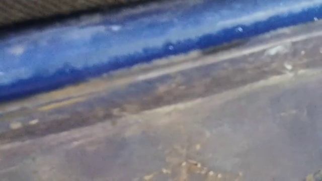 заметил, что в дверях вода на автомобиле нужно срочно что-то делать