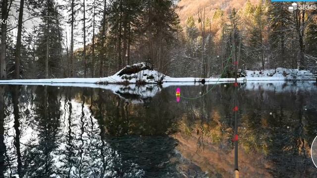 рыбалка 🎣 MyFishing где наловить 🪝 только большеротый окунь
