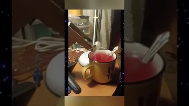 Смешные видео