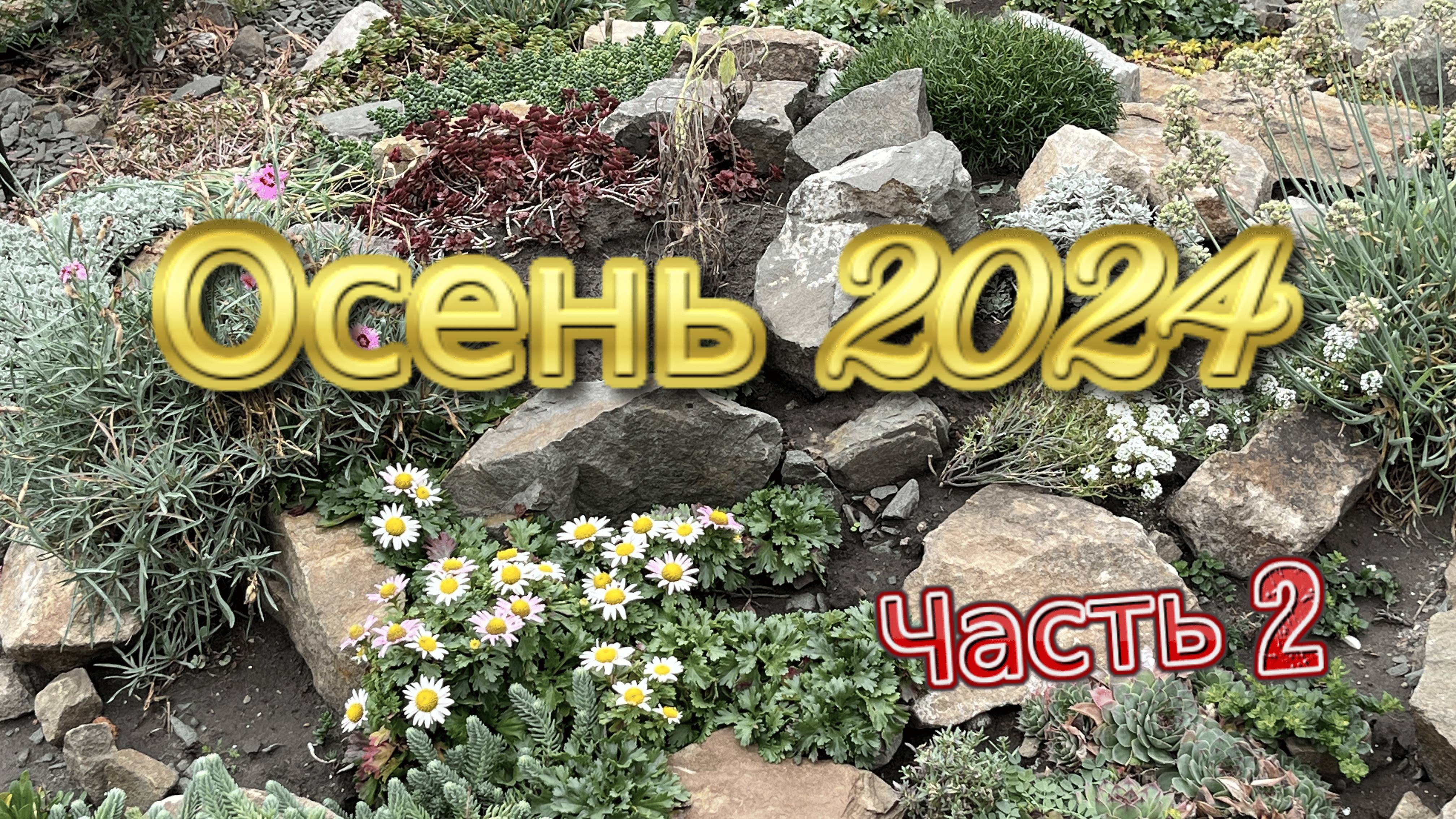 Осень 2024, часть 2