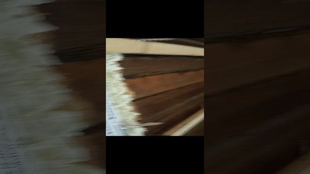 VID_20241104_231907.mp4
