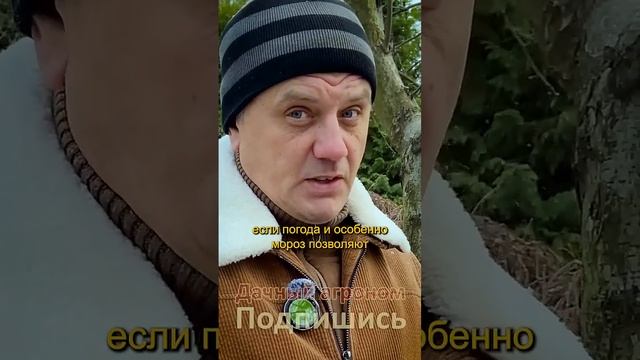 Сделай деревьям В ДЕКАБРЕ