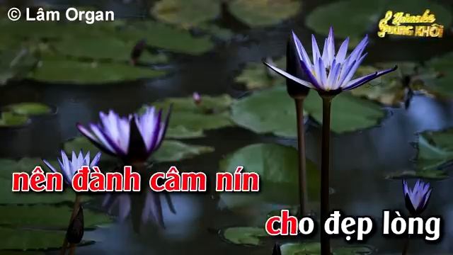 Đường Tình Đôi Ngã Karaoke Song Ca ( Em )  Karaoke - Beat Hay Dễ Hát