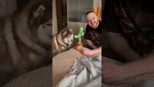 😂😂Улыбнитесь