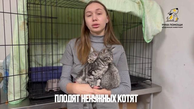 История, которая стара как мир. Поддержать⬇️