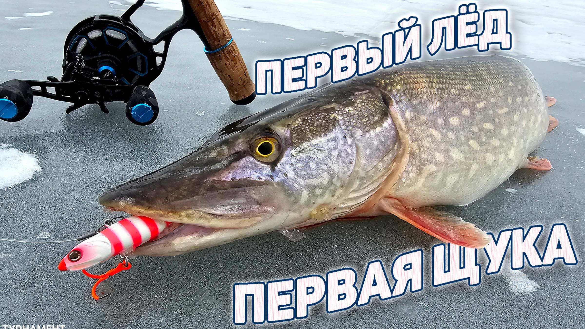 Щука на Обве