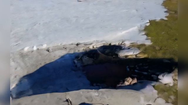 Книга в путешествии