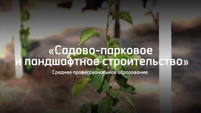 Почему стоит поступать на факультет лесного хозяйства