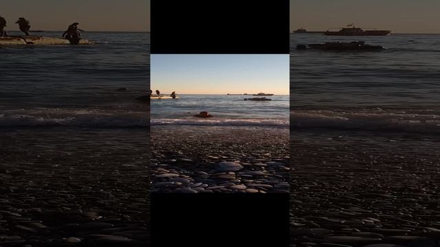 1000010600.mp4