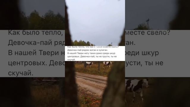 Mikhail Krug - Девочка-пай