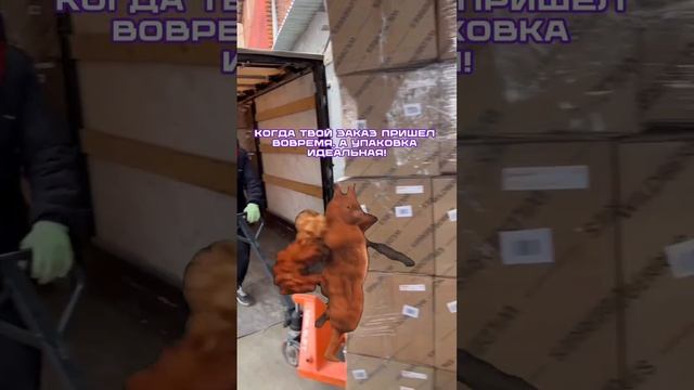 scene_output.mp4