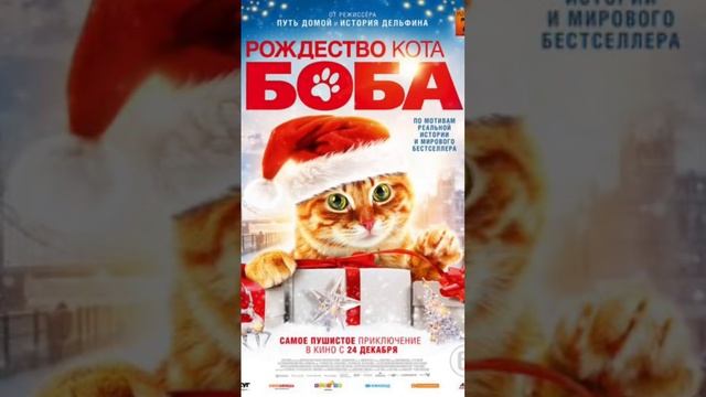 МУЛЬТИКИ ПРО КОТИКОВ!😽