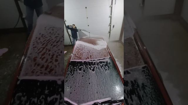 Солярис на МСО