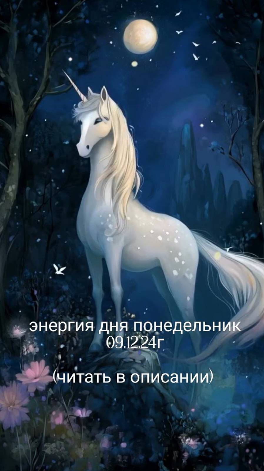 09.12.24г энергия дня понедельник