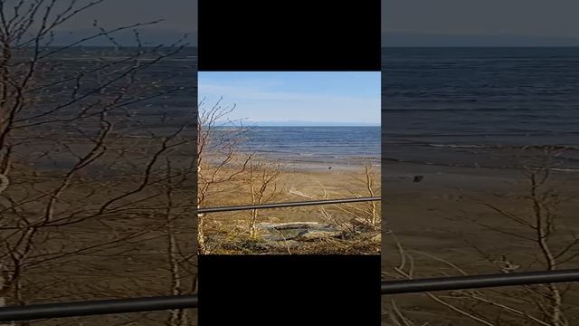 1000020361.mp4