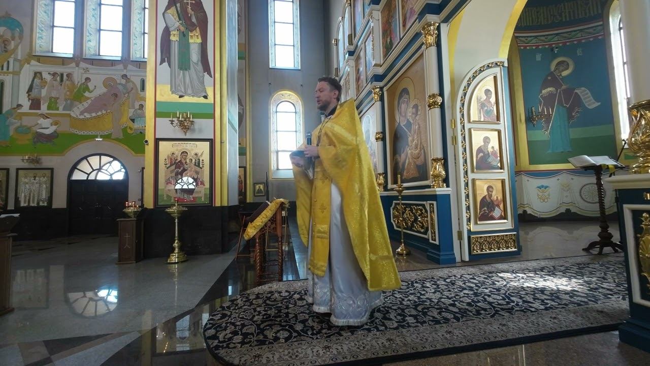 Дерево познается по плодам. Проповедь. 2024.07.02