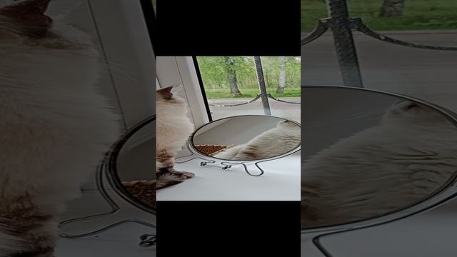 1000291835.mp4