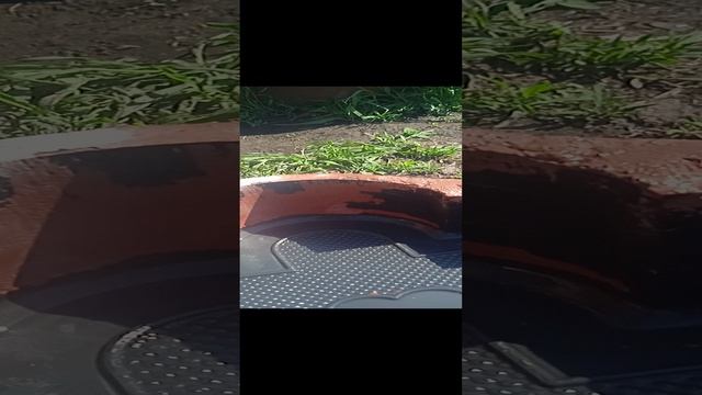 ОТМЫТЬ ТРОТУАРНУЮ ПЛИТКУ  КИСЛОТОЙ ПРОБЛЕМЫ