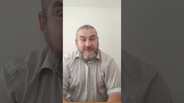 8 августа день кошек.