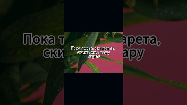 serofit воздух