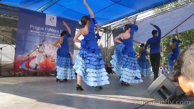 Flamenco 2 #upskirt#sexy#латиношоу#танец