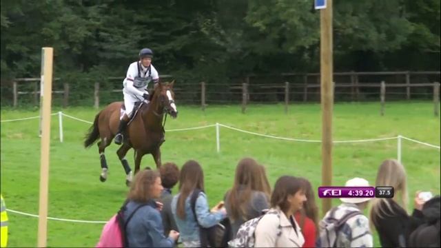 Jeux équestres mondiaux : William Fox Pitt à l'épreuve de cross du concours complet