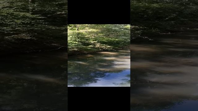 1000010603.mp4