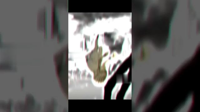 1000007254.mp4