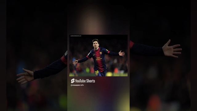 petal_20241209_075421.mp4