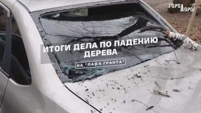 Берёза за 245 000₽.mp4