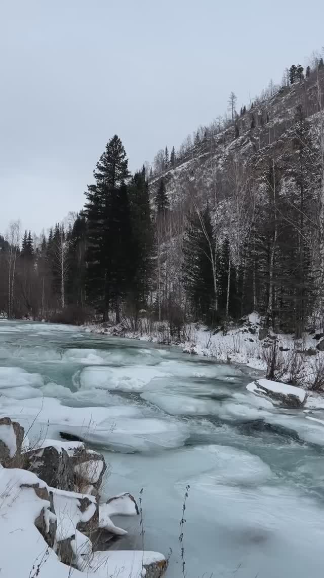 Красота в шаговой доступности от нашего дома😍.