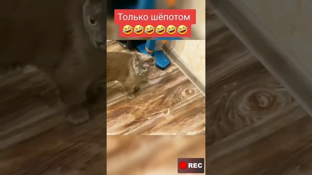 Только шëпотом !! 😅